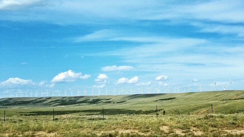 WP_20160602_16_06_37_Pro (2)