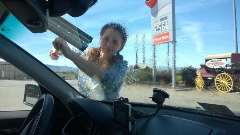 WP_20160604_13_38_32_Pro